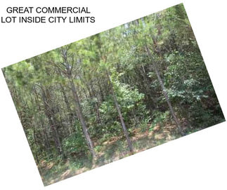 GREAT COMMERCIAL LOT INSIDE CITY LIMITS