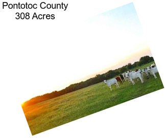 Pontotoc County 308 Acres