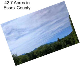 42.7 Acres in Essex County