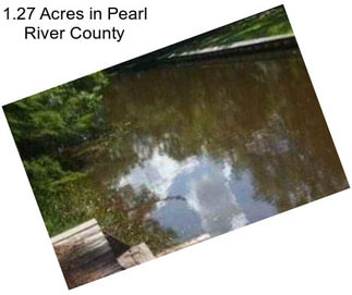 1.27 Acres in Pearl River County