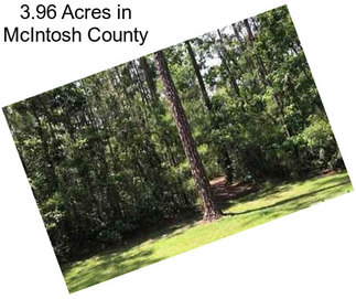 3.96 Acres in McIntosh County