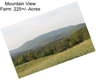 Mountain View Farm  225+/- Acres