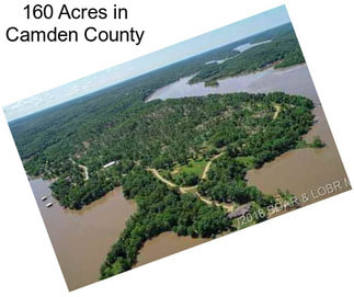 160 Acres in Camden County