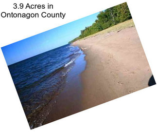 3.9 Acres in Ontonagon County