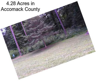 4.28 Acres in Accomack County
