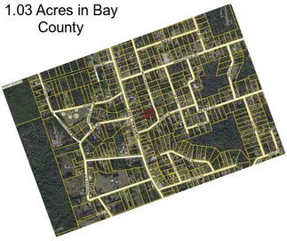 1.03 Acres in Bay County