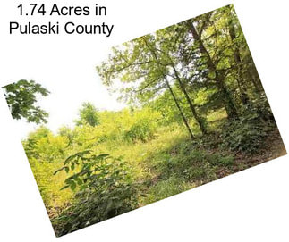 1.74 Acres in Pulaski County