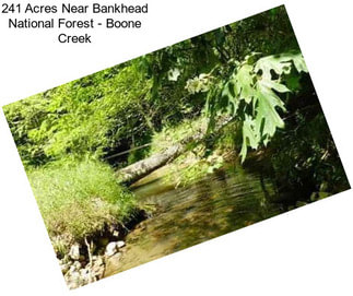 241 Acres Near Bankhead National Forest - Boone Creek