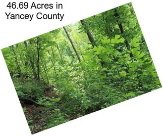 46.69 Acres in Yancey County