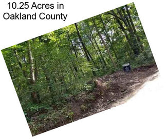 10.25 Acres in Oakland County