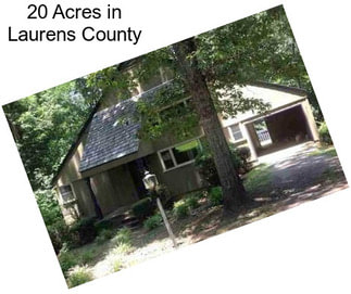 20 Acres in Laurens County