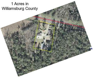 1 Acres in Williamsburg County