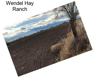 Wendel Hay Ranch