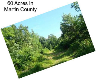 60 Acres in Martin County