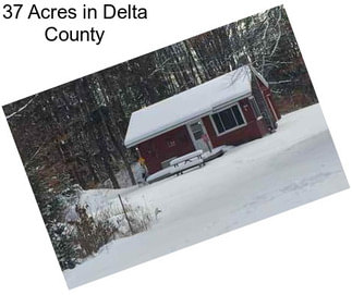 37 Acres in Delta County