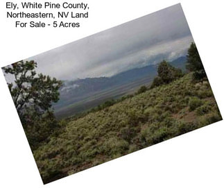 Ely, White Pine County, Northeastern, NV Land For Sale - 5 Acres