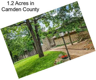 1.2 Acres in Camden County