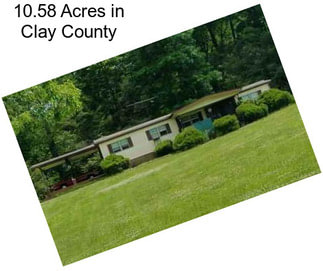 10.58 Acres in Clay County