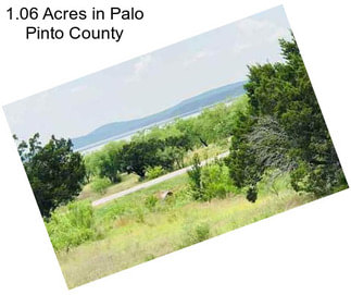 1.06 Acres in Palo Pinto County