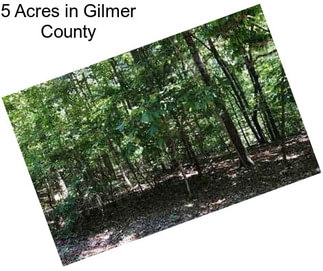 5 Acres in Gilmer County