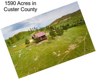 1590 Acres in Custer County