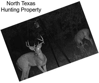 North Texas Hunting Property