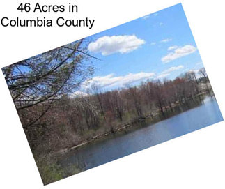 46 Acres in Columbia County