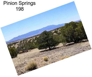 Pinion Springs 198