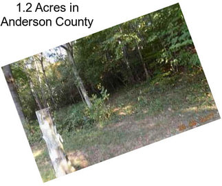 1.2 Acres in Anderson County