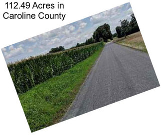 112.49 Acres in Caroline County