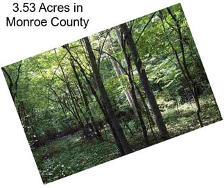 3.53 Acres in Monroe County