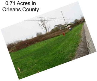 0.71 Acres in Orleans County