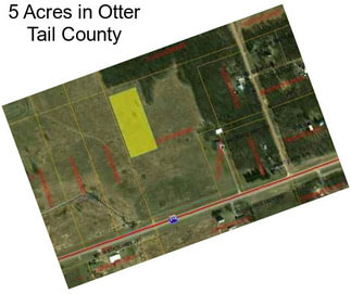 5 Acres in Otter Tail County