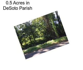 0.5 Acres in DeSoto Parish