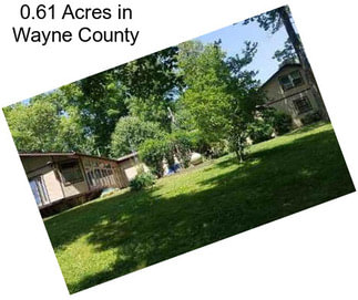 0.61 Acres in Wayne County