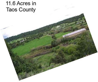 11.6 Acres in Taos County