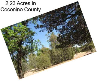 2.23 Acres in Coconino County