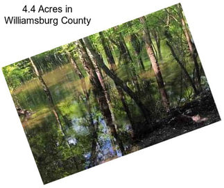 4.4 Acres in Williamsburg County