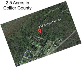 2.5 Acres in Collier County