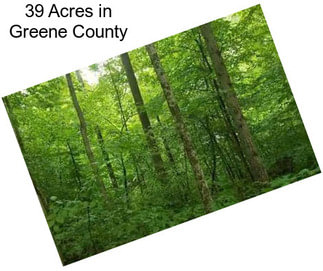 39 Acres in Greene County