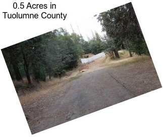 0.5 Acres in Tuolumne County