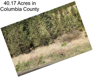 40.17 Acres in Columbia County