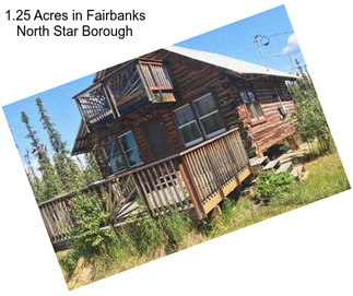 1.25 Acres in Fairbanks North Star Borough