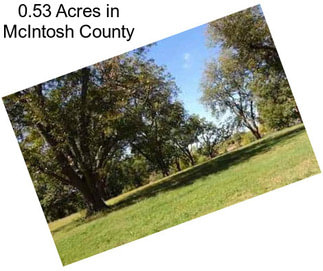 0.53 Acres in McIntosh County