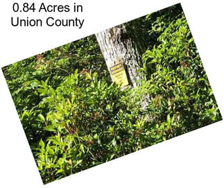 0.84 Acres in Union County
