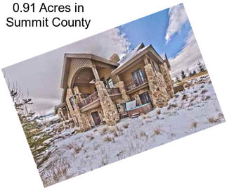 0.91 Acres in Summit County