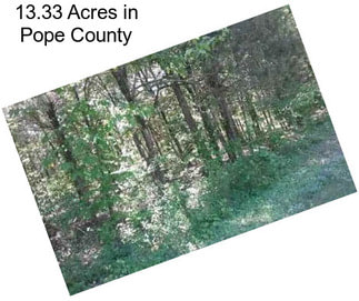 13.33 Acres in Pope County