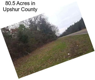 80.5 Acres in Upshur County