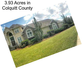 3.93 Acres in Colquitt County