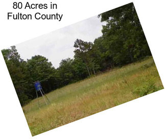 80 Acres in Fulton County